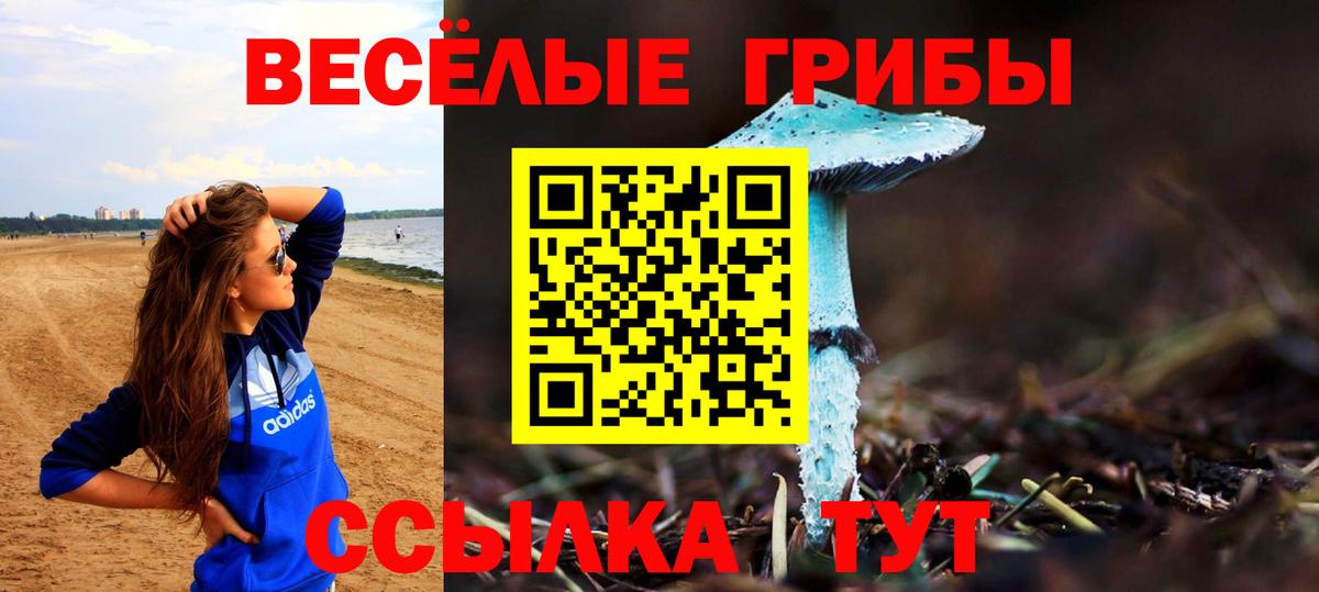 Новокубанск  Псилоцибиновые грибы Psilocybe  Вход с VPN 