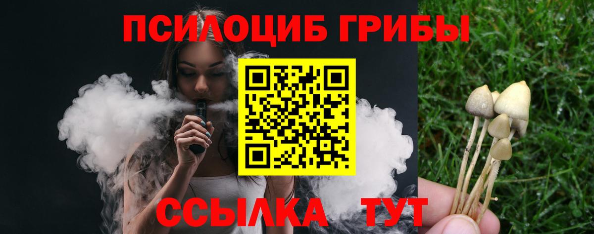 Галлюциногенные грибы мухоморы Новокубанск
